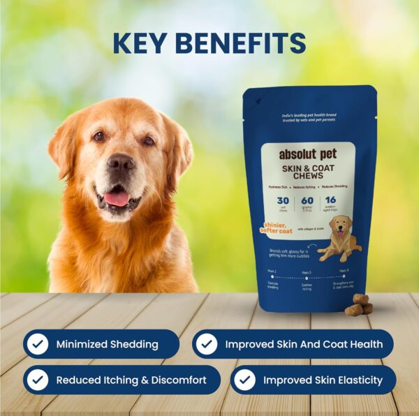 Absolut Pet Dog Supplement for Skin & Coat, Chews for Reduced Shedding, Healthy Skin & Glowing Coat with Omega, Collagen & Biotin (30 Chews)