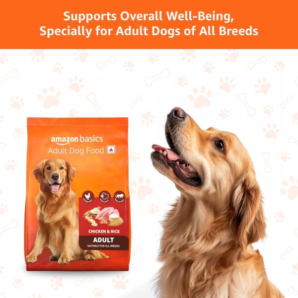 Amazon Basics Dry Dog Food | 1 Kg Trial Pack| Chicken & Rice | with Real Chicken Meat | Kibble for Adult Dogs | Packed with Protein | Suitable for All Breeds