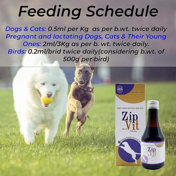 BULLYPET ZipVit Multivitamin Immunity Booster & Appetite Stimulation Amino Acid Supplement for Dogs & Cats