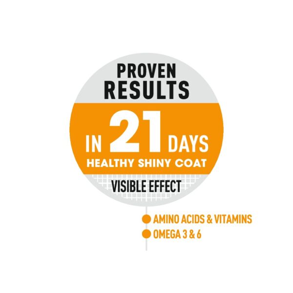 Royal Canin Skin & Hair Care for Adult Cats, 400 Grams, Dry Food with Added Amino Acids, Vitamins, and Omega 3 and 6, Supports Healthy Skin and Shiny Coat, Proven Results in 21 Days