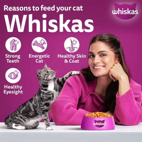 Whiskas Adult (1+ Years) Dry Cat Food, Mackerel Flavour, 7 kg, Contains 41 Essential Nutrients, Complete & Balanced Nutrition for Adult Cats