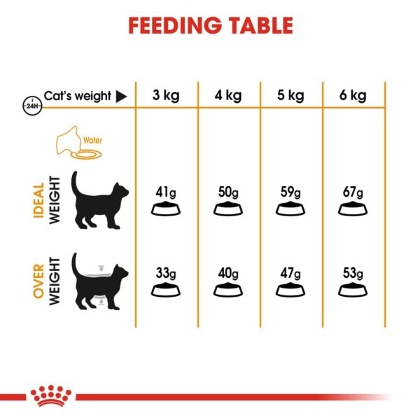 Royal Canin Skin & Hair Care for Adult Cats, 400 Grams, Dry Food with Added Amino Acids, Vitamins, and Omega 3 and 6, Supports Healthy Skin and Shiny Coat, Proven Results in 21 Days