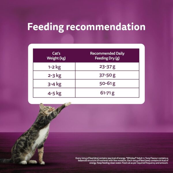 Whiskas Adult (1+ Years) Dry Cat Food, Mackerel Flavour, 7 kg, Contains 41 Essential Nutrients, Complete & Balanced Nutrition for Adult Cats