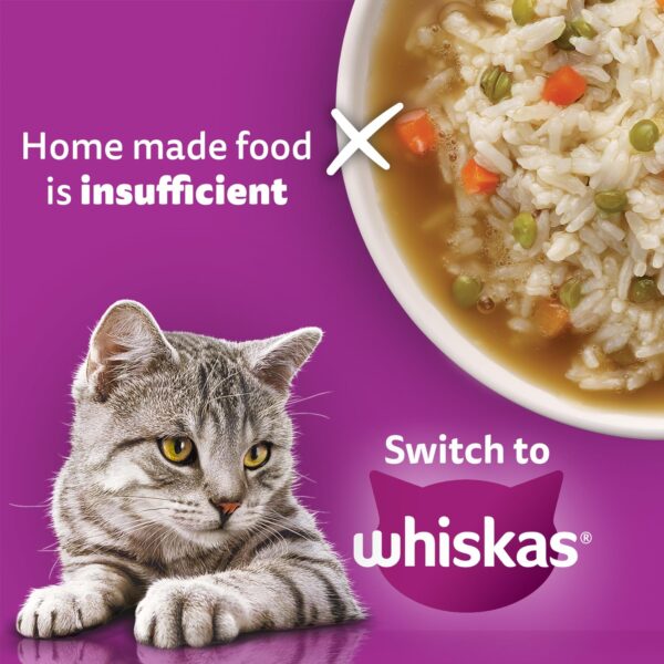 Whiskas Adult (1+ Years) Dry Cat Food, Mackerel Flavour, 7 kg, Contains 41 Essential Nutrients, Complete & Balanced Nutrition for Adult Cats