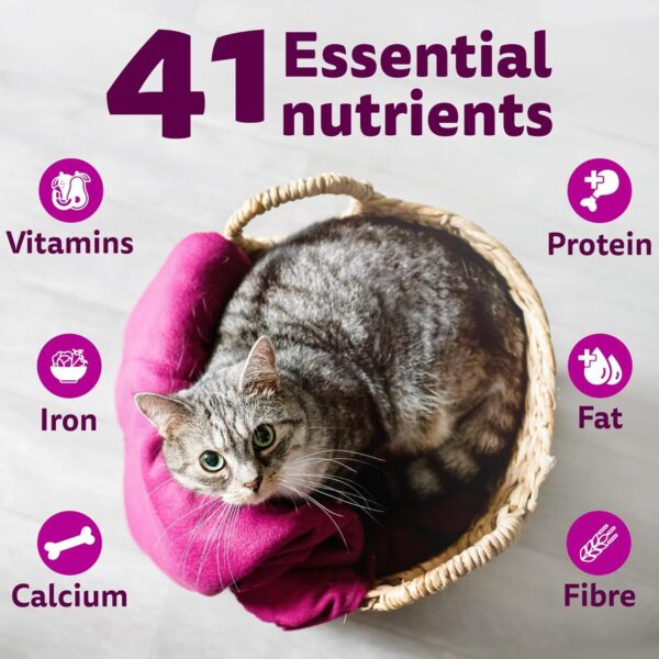 Whiskas Adult (1+ Years) Dry Cat Food, Mackerel Flavour, 7 kg, Contains 41 Essential Nutrients, Complete & Balanced Nutrition for Adult Cats