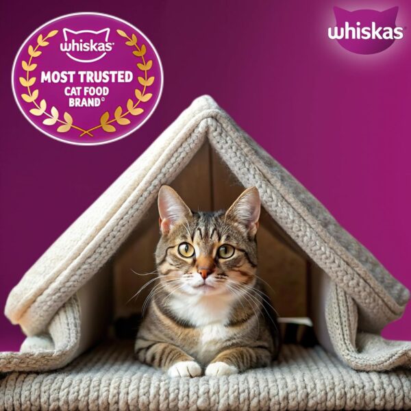 Whiskas Adult (1+ Years) Dry Cat Food, Mackerel Flavour, 7 kg, Contains 41 Essential Nutrients, Complete & Balanced Nutrition for Adult Cats